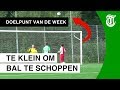 Deze keeper ziet ze vliegen - DOELPUNT VAN DE WEEK