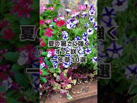 寒さ、暑さ、干ばつ、風など、あらゆるものに耐える植物を発見してください。  庭園