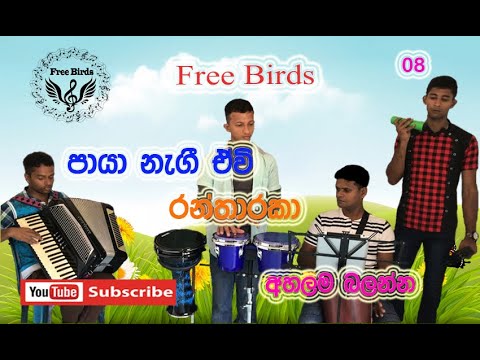 Paya Nagi Ewi Ran Tharaka