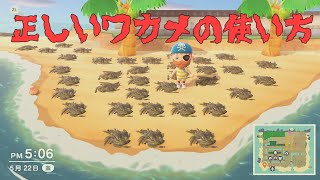 【あつ森】ワカメの使い方ガイド【AnimalCrossing】