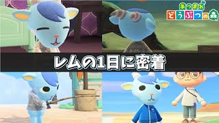【あつ森】1日密着企画！ レムくんの1日に密着してみた！