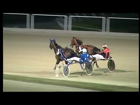 Napoli Trotto 23/07/2021 - 7ª corsa