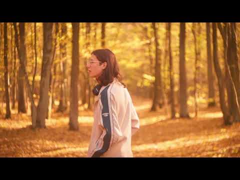 Jesienny, leśny spacer