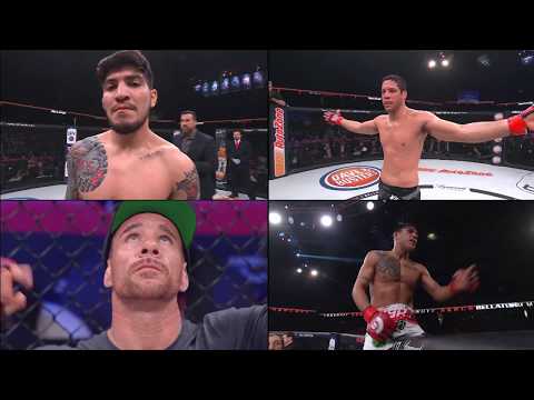 Bellator 198 Ratings Are In