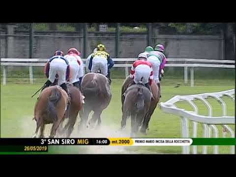 2019.05.26 Premio Mario Incisa della Rocchetta (ITA) - Elisa Again