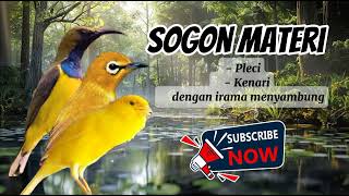 Download lagu MASTERAN SOGON MATERI PLECI SAMBUNG KENARI DENGAN IRAMA SANGAT TAJAM #sogongacor #subscribe  #sogon mp3