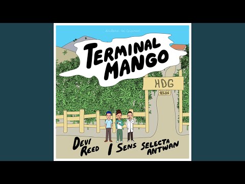 Terminal Mango