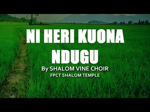 Shalom Vine Singers-NI HERI KUONA NDUGU (OFFICIAL AUDIO GOSPEL NYIMBO ZA WOKOVU)