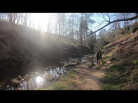 Little treat to go and swim at Beck Hole!