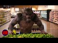 Werewolf In The Supermarket Goosebumps 2015