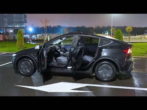 Tesla Model Y STANDARD 2026 Night Lights Review