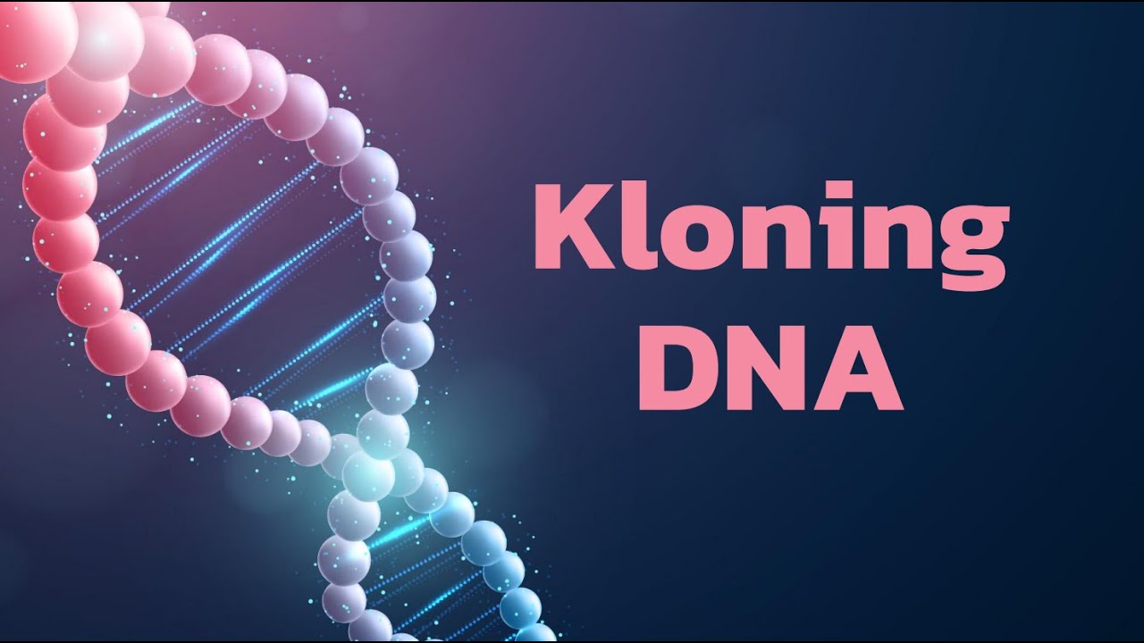 KELOMPOK 3 [PERBANDINGAN JURNAL KLONING DNA]