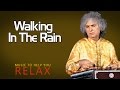 Walking In The Rain | Pandit Shivkumar Sharma | (Spa Special-Music to  Help You Relax) | Music Today