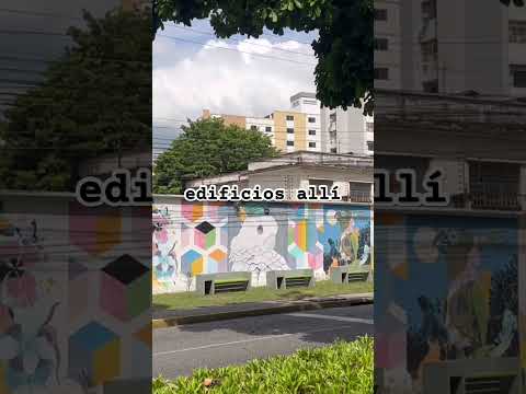Que BONITOS Murales adornan la CIUDAD de MARACAY. #suscribete #shorts #aragua #maracay #viral #art
