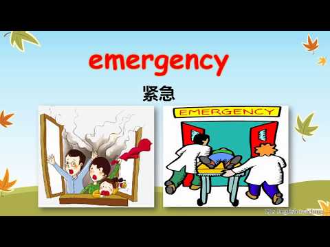 Year 6: Unit 6 - Vocabulary