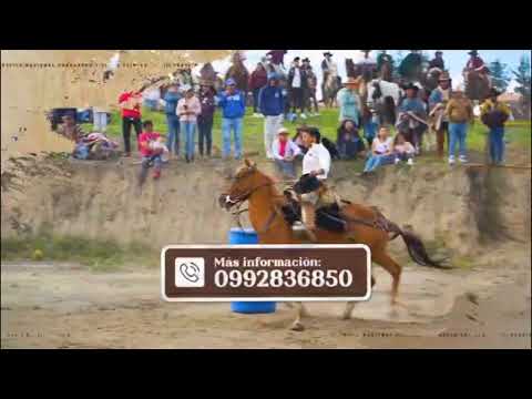 #ENVIVO | Ambato listo para el Desfile Nacional Chacarero