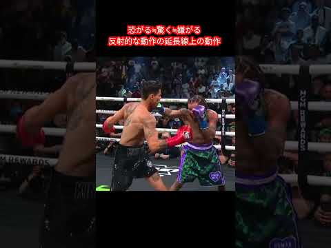 デービスの嫌がるディフェンス