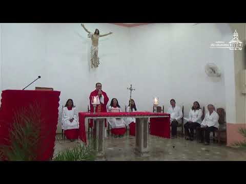 Celebração Domingo de Ramos, Virgem da Lapa-MG, 17/03/2024