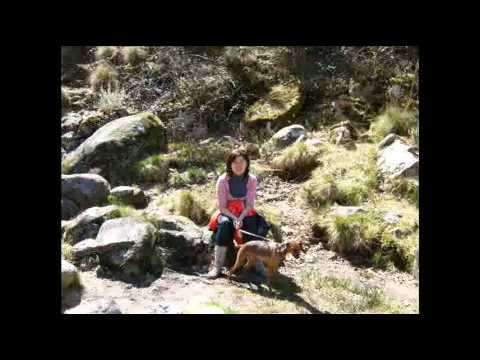 viaje al valle del herte