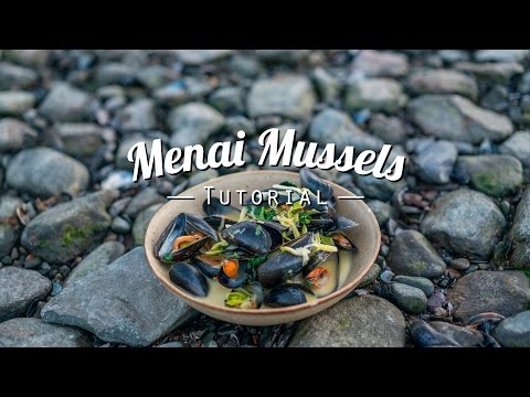 Menai Mussels Tutorial