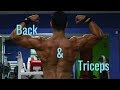 Bodybuilding Motivation - Back & Triceps Workout