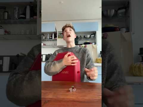 DOOR 12 of the 1000€ SWAROVSKI Advent Calendar