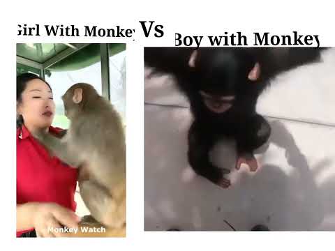 Girl With Monkey Vs Boy With Monkey 🤣🥸😁😁🤣