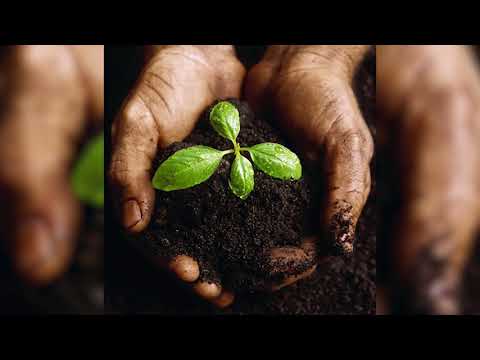 Jack Kornfield – Ep. 46 – The Stories We Tell