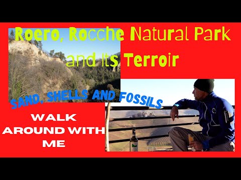 Roero and Rocche del Roero Natural Park. How Roero Terroir was born