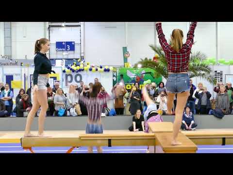 TuS 84/10 | Gerätturnen (Mode, Heim und Handwerk 2017)