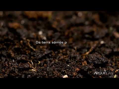 Vídeo