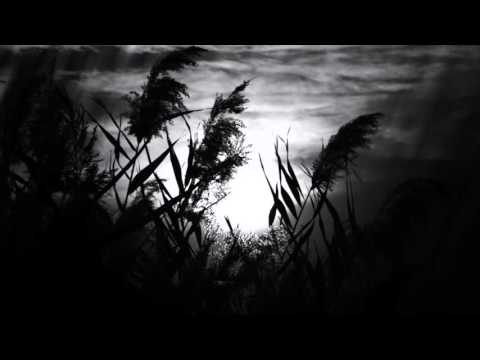 Vision Talk Come with me