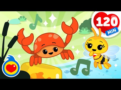 El Cangrejo No Es Un Pez 🦀🎵 Y Más Canciones Infantiles Para Bailar (120 Min) | Plim Plim