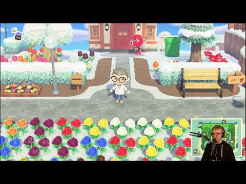 Animal Crossing 3.0 First Day Stream With Griffin