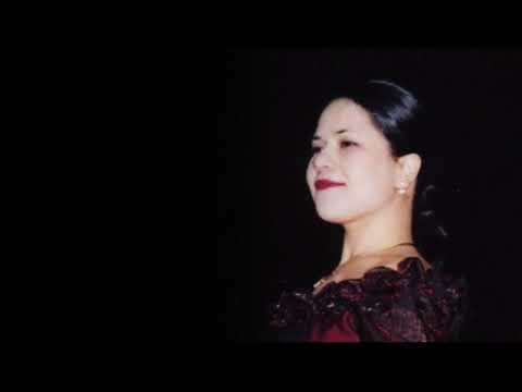 G. Bizet - La Chanson Boheme (Carmen). Anna Mayilyan