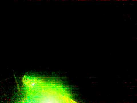 Jeremy P.Caulfield @ POW!WOW Bermuda Edition - Weekend Club, Berlin 04.11.2011 part 2