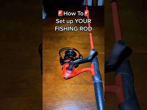 How To Setup a New Fishing Pole‼️