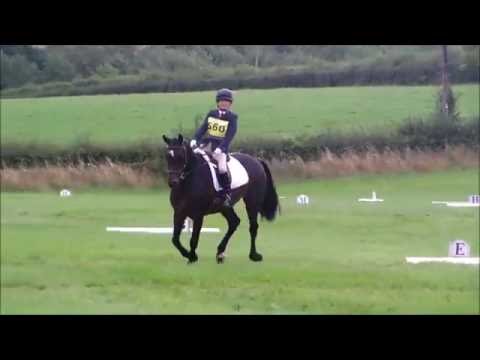 H, BE 95 (2012) dressage test at Sapey BE 90: 25.8