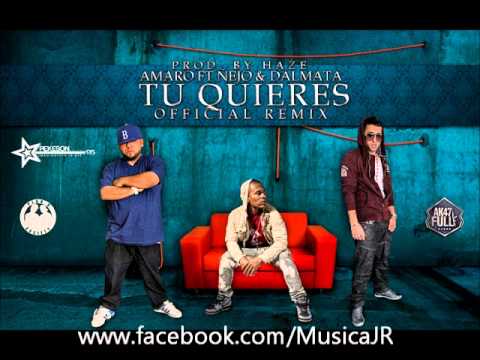 Amaro Ft. Ñejo & Dalmata -- Tu Quieres (Official Remix) (Prod. By Haze)