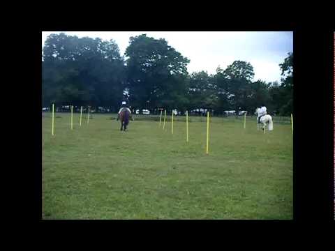 Alexis ~ South Kilworth Show ~ This whole thing is a lie.