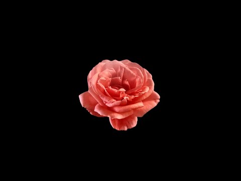 [FREE] SOMETHING NEW - Morray Type Beat Hip Hop Instrumental 140 Bpm