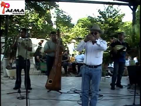 Llanero siente y lamenta (en vivo) - Angel Avila