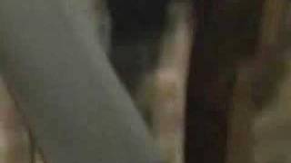 Maria Muldaur & The Jim Kweskin Jug Band