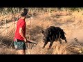 Chaos In Croc Country Hunting Fishing Gone Wrong