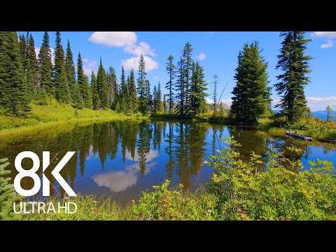 8 HOURS of Birds' Songs and Calming Water Sounds - Relaxing Ambiance of a Mountain Lake 8K Video