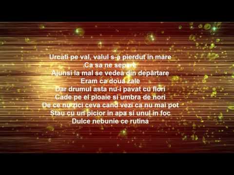 FRANCISCA feat. F. Charm - Drum de piatra (VERSURI/LYRICS)
