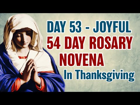 54 Day Rosary Novena Day 53 💙Joyful Mysteries