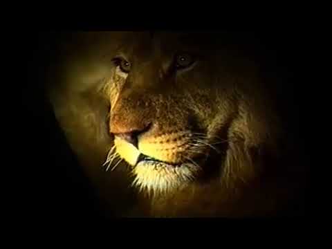 download lagu mp3 mp4 Clip Art Free Lion, download mp3 Clip Art Free Lion free downloadn, video klip Clip Art Free Lion