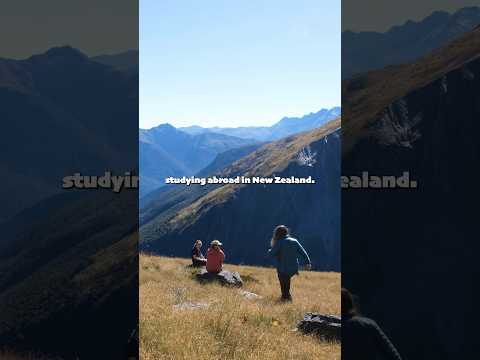 I Regret Studying Abroad in New Zealand