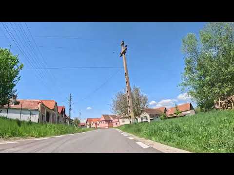 Săcel, jud. Sibiu - May 2025